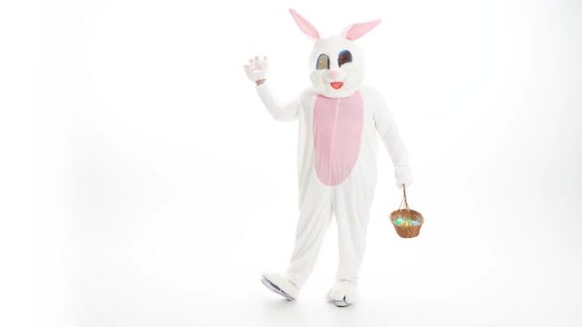 FUN7071PL Adult Mascot Easter Bunny