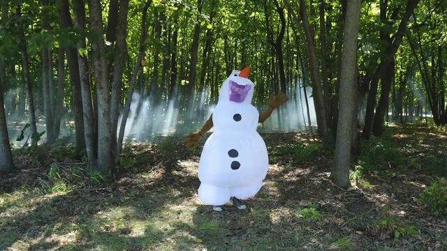 DI121019 Frozen PPP-Olaf AD Inflatable