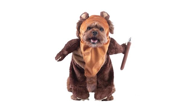 JWC1224-Ewok-Classic-Pet-Costume-GIF-rotation