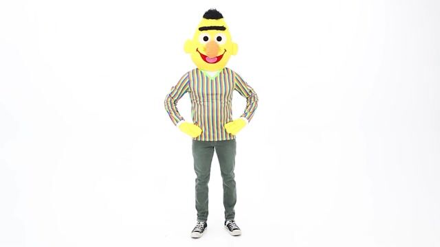 FUN2550AD Sesame Street Bert Costume for Adults