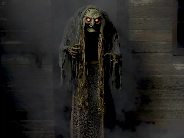 FUN3015 Hag the Witch Animatronic