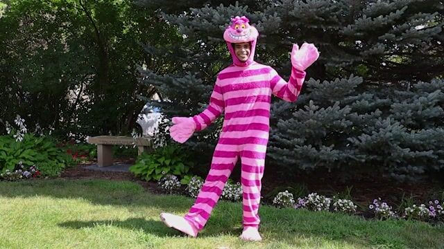 FUN95289AD Adult Disney Cheshire Cat Costume