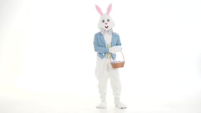This Adult Deluxe Easter Bunny Costume gives your child the ultimate spring holiday experience.