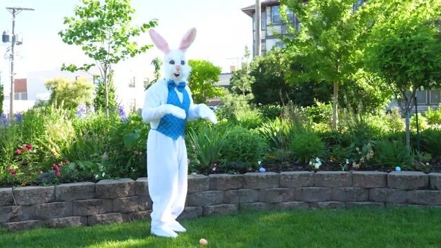 FUN6047AD Mascot Happy Easter Bunny