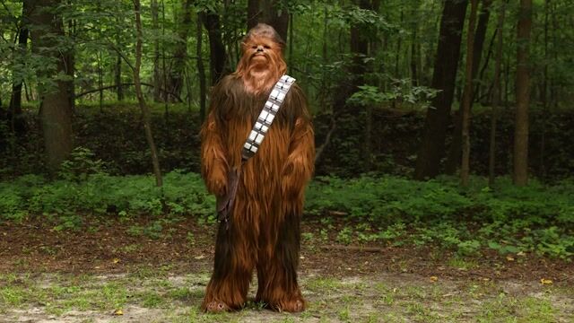 FUN96263PL Chewbacca