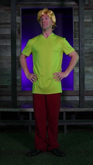 FUN98186AD Adult Deluxe Shaggy Scooby Doo Costume - (9x16)