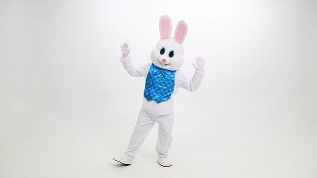 FUN1369AD Sweet Easter Bunny Costume for Adults
