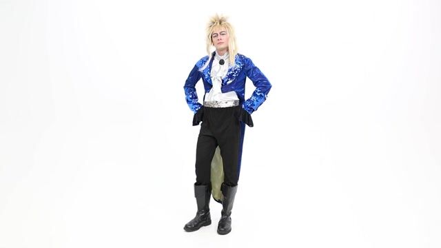 FUN0299AD Labyrinth Deluxe Jareth Adult Costume