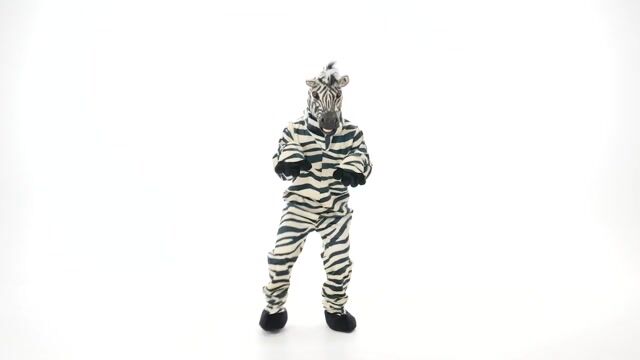 EL451715-ADST Zebra Suit