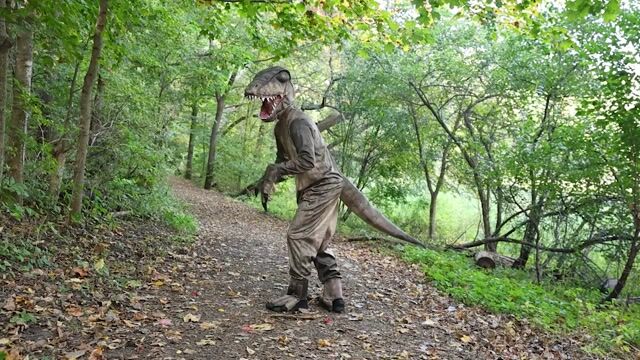 FUN1500AD  T-Rex Dinosaur Costume for Adults