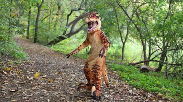 FUN1501CH Kid's Velociraptor Costume