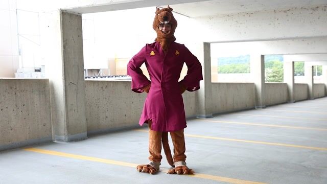 FUN96525AD Adult TMNT Master Splinter Costume