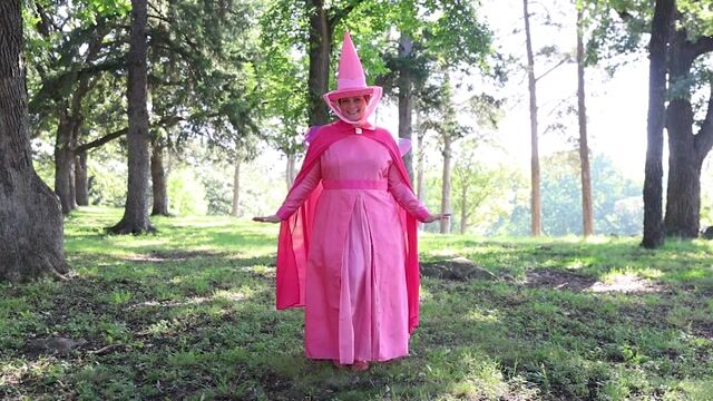 FUN7489PL Plus Size Disney Flora Sleeping Beauty Costume