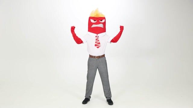 FUN7379AD_Anger Adult