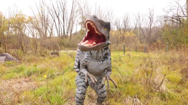 Unleash prehistoric power with the Life-Sized Realistic Raptor Adult Costume! Designed to capture the fierce presence of a fast-moving dinosaur predator, this full-body look delivers jaw-dropping detail and larger-than-life impact. Perfect for Halloween, themed events, or show-stopping entrances, it’s an epic costume that transforms you into a towering creature from another era—ready to stalk the party in unforgettable style.
