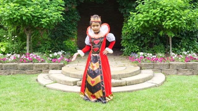 FUN3841CH Premium Queen of Hearts