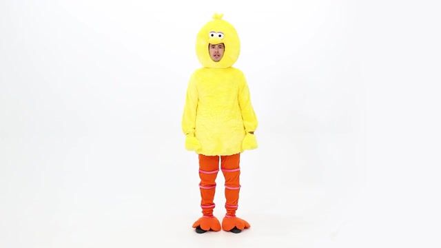 FUN2561AD Sesame Street Big Bird Costume for Adults