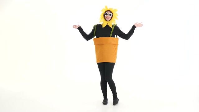 FUN6888AD Flower Pot