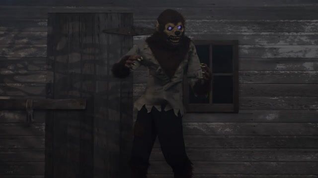 FUN4250_Feral Werewolf