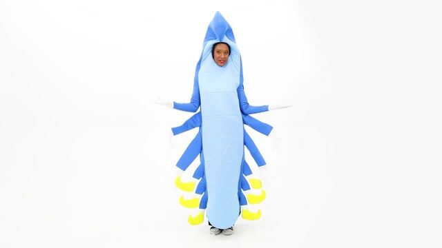FUN7000AD Adult Caterpillar Costume