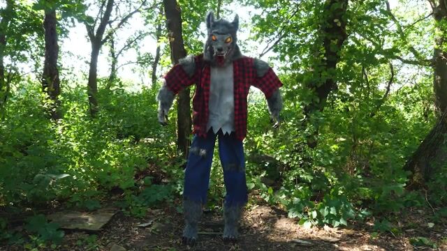 FUN3535 Classic Werewolf Halloween Decoration