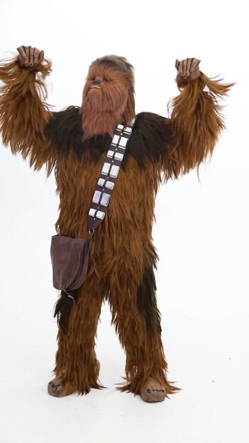 FUN96263AD Men's Authentic Star Wars Chewbacca Costume