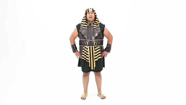 FUN1231 PL Ancient Pahraoh Adult Plus Size