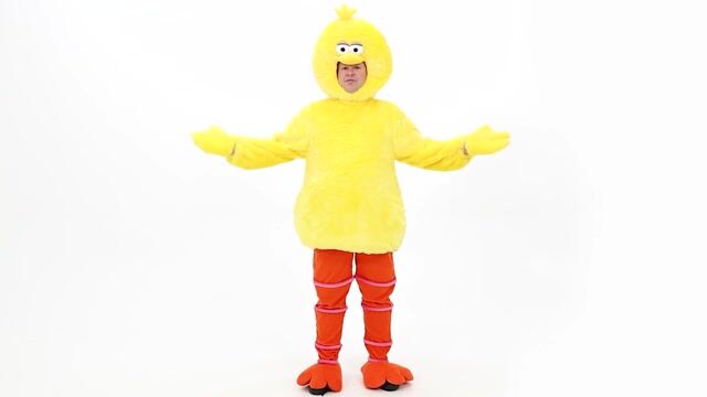 FUN2561PL Plus Size Sesame Street Big Bird Adult Costume