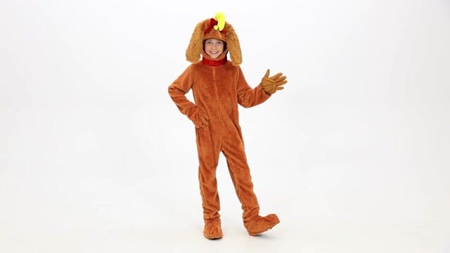 EL451336CH Dr. Seuss The Grinch Max Costume for Kids