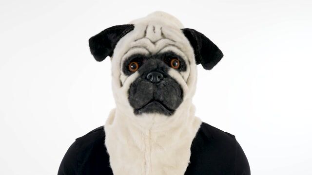 Transform into a playful pug with this Mouth Mover Pug Mask. This lifelike pug mask is the perfect accessory for any dog lovers and is a easy costume idea!