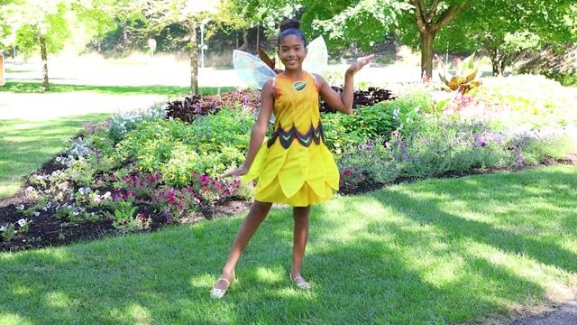 FUN4849CH_Disney Fairies Iridessa