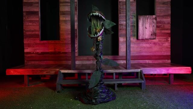 FUN99899 - 5ft Animated Standing Eating Plant