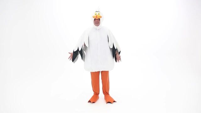 FUN7515PL Men's Plus Size Disney The Little Mermaid Scuttle Costume